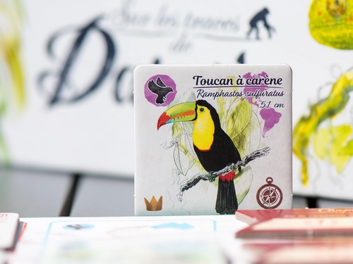 Test du jeu Sur les traces de Darwin